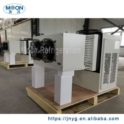 Moon Bitzer Cold room Referigeration condensing units for cold storage