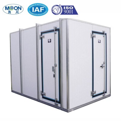 MOON walk-in frozen cold room for fruit and vegetables on sale